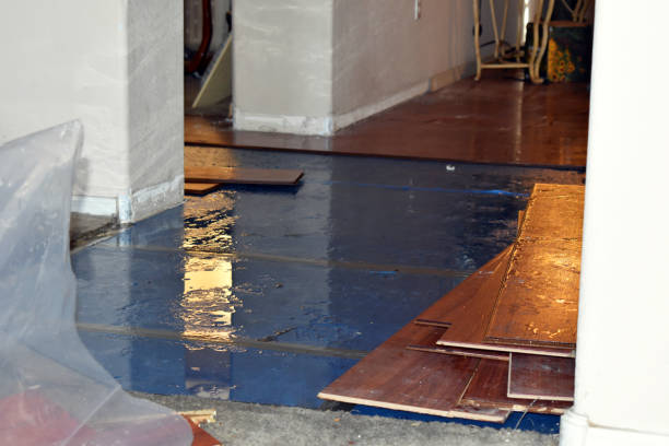 Professional Burst Pipe Cleanup technician working in Spicewood, TX